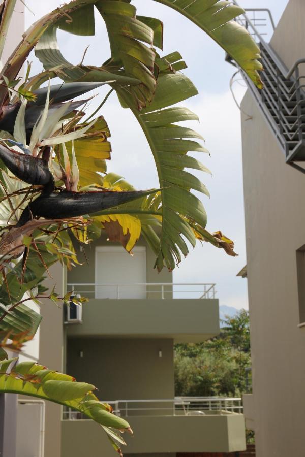 Kamares Apts - Antonis Cozy Maisonette Chrissi Akti Chania Exterior foto