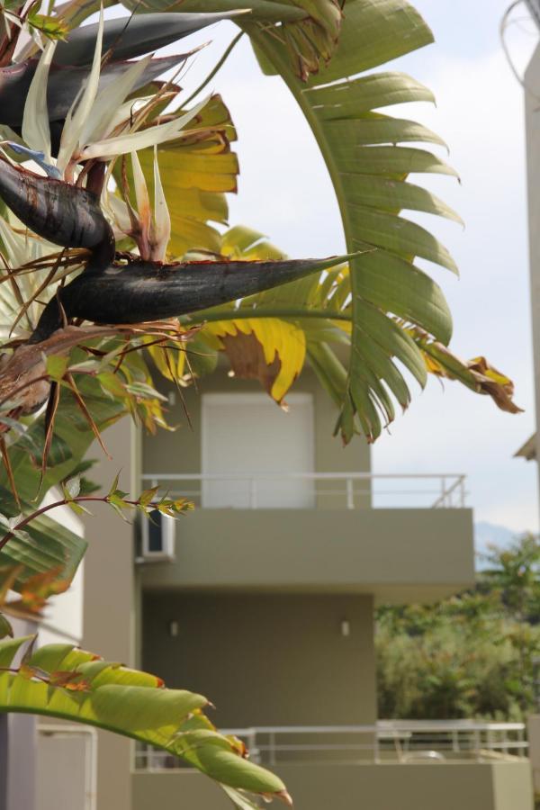 Kamares Apts - Antonis Cozy Maisonette Chrissi Akti Chania Exterior foto